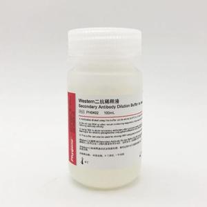 PH0492 | Western二抗稀释液 Secondary Antibody Dilution Buffer for Western