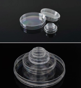 细胞培养皿150mm（握环式）带握环，TC处理，灭菌